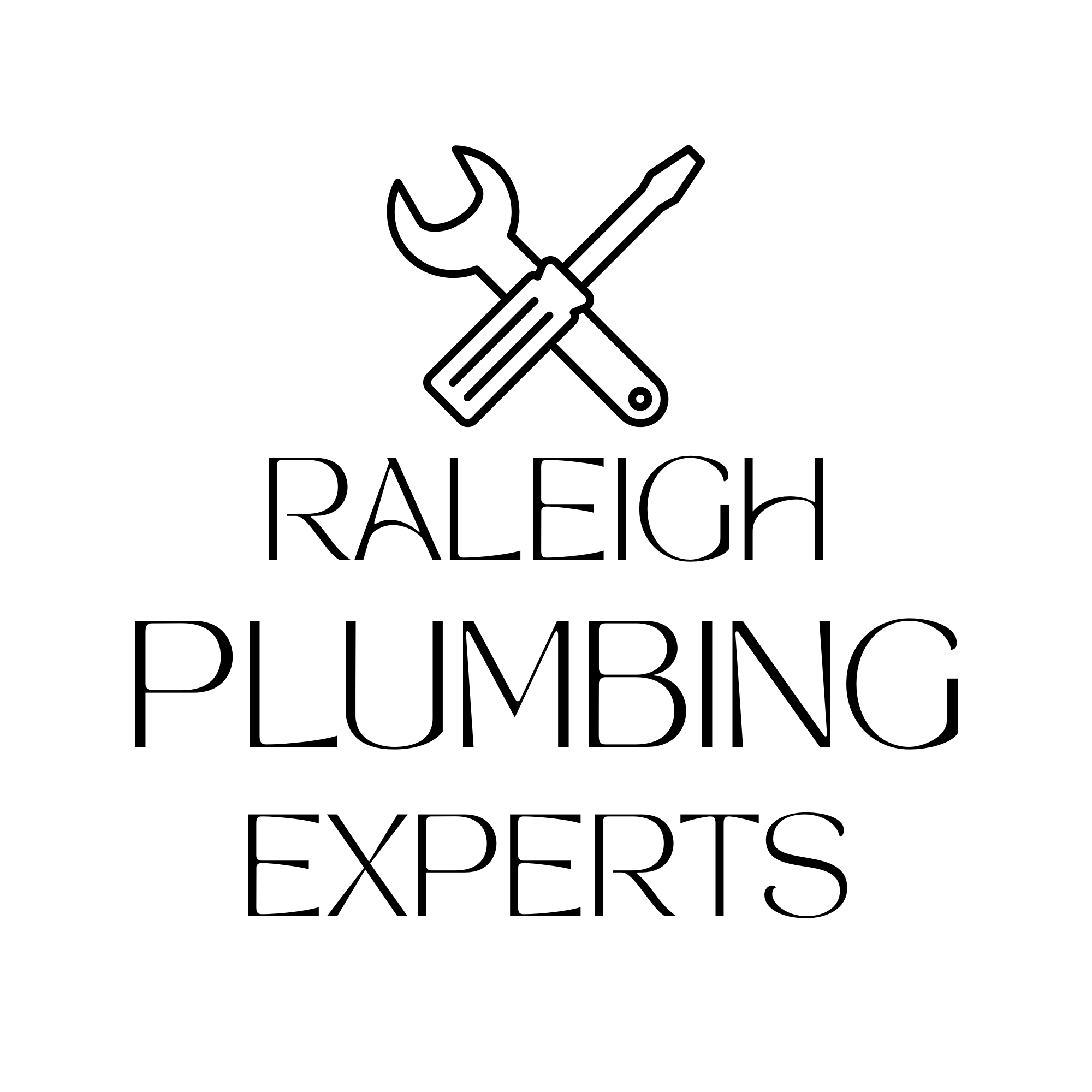 Raleigh Plumbing Experts logo
